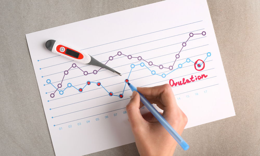How Do You Know If You Are Ovulating?